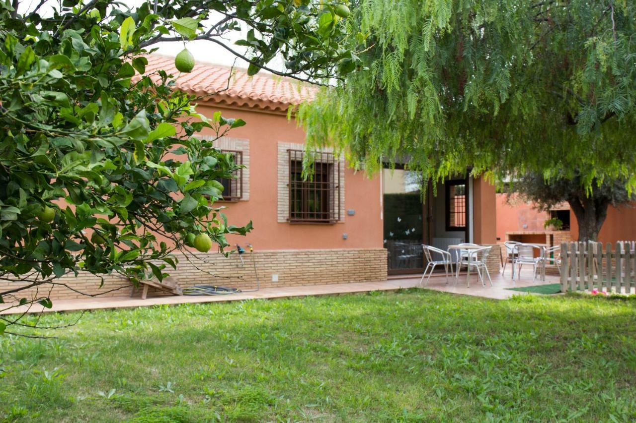 Villa Sol Y Sal Torrevieja Dış mekan fotoğraf
